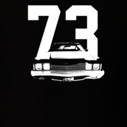 1973 Caprice Grill View With Year Dark Color T Shirt