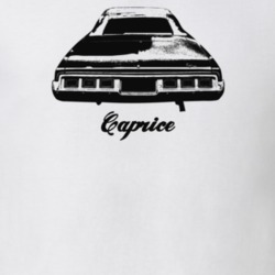 1973 Caprice Rear View With Model Light Color T Shirt