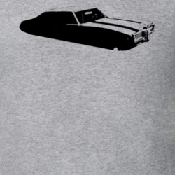 1969 Pontiac Custom S Side View Light Color Shirt