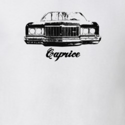 1974 Caprice Grill View With Model Light Color T Shirt