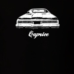 1974 Caprice Rear View With Model Dark Color T Shirt