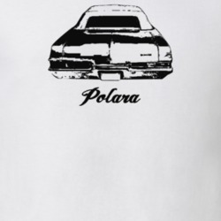 1969 Polara Rear View With Model Light Color T Shirt