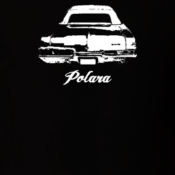 1969 Polara Rear View With Model Light Color T Shirt