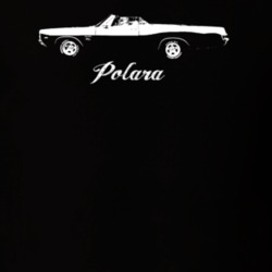 1969 Polara Side View With Model Light Color T Shirt