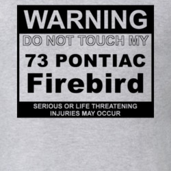 Warning Do Not Touch My 1973 Pontiac Firebird Funny Car T Shirt