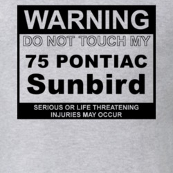 Warning Do Not Touch My 1975 Pontiac Sunbird Funny Car T Shirt