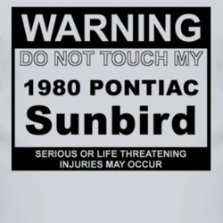 Warning Do Not Touch My 1980 Pontiac Sunbird Funny Car T Shirt