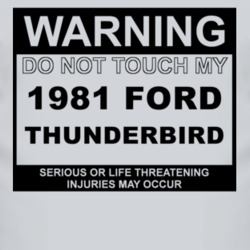 Warning Do Not Touch My 1981 Thunderbird Funny Car T Shirt