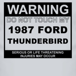 Warning Do Not Touch My 1987 Thunderbird Funny Car T Shirt