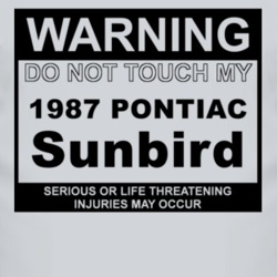 Warning Do Not Touch My 1987 Pontiac Sunbird Funny Car T Shirt