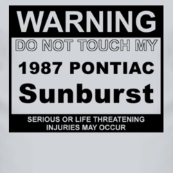 Warning Do Not Touch My 1987 Pontiac Sunburst Funny Car T Shirt