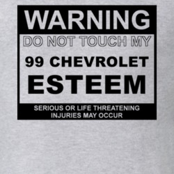 Warning Do Not Touch My 1999 Chevy Esteem Funny Car T Shirt