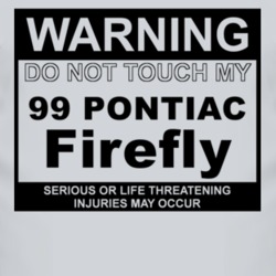 Warning Do Not Touch My 1999 Pontiac Firefly Funny Car T Shirt
