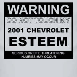 Warning Do Not Touch My 2001 Chevy Esteem Funny Car T Shirt