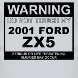 Warning Do Not Touch My 2001 ZX5 Funny Car T Shirt