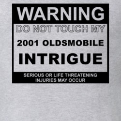 Warning Do Not Touch My 2001 Oldsmobile Intrigue Funny Car T Shirt
