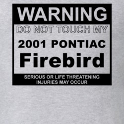 Warning Do Not Touch My 2001 Pontiac Firebird Funny Car T Shirt
