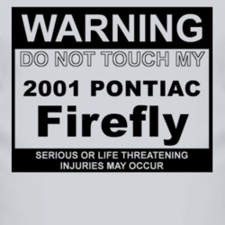 Warning Do Not Touch My 2001 Pontiac Firefly Funny Car T Shirt