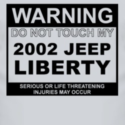 Warning Do Not Touch My 2002 Liberty Funny Car T Shirt