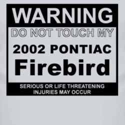 Warning Do Not Touch My 2002 Pontiac Firebird Funny Car T Shirt