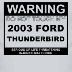 Warning Do Not Touch My 2003 Thunderbird Funny Car T Shirt
