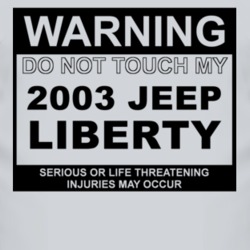 Warning Do Not Touch My 2003 Liberty Funny Car T Shirt