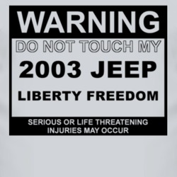 Warning Do Not Touch My 2003 Liberty Freedom Funny Car T Shirt