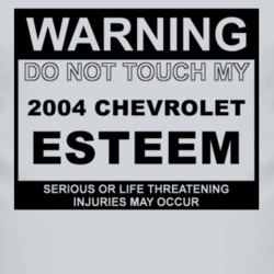 Warning Do Not Touch My 2004 Chevy Esteem Funny Car T Shirt