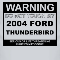 Warning Do Not Touch My 2004 Thunderbird Funny Car T Shirt