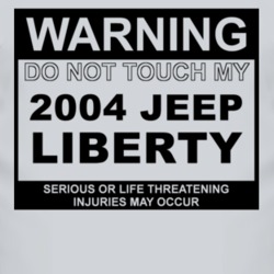 Warning Do Not Touch My 2004 Liberty Funny Car T Shirt