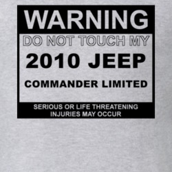 Warning Do Not Touch My 2010 Commander Limited Funny Car T Shirt