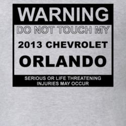 Warning Do Not Touch My 2013 Chevy Orlando Funny Car T Shirt