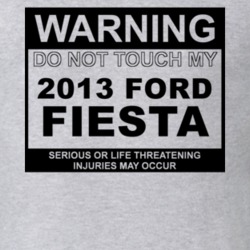 Warning Do Not Touch My 2013 Fiesta Funny Car T Shirt