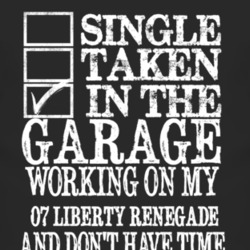 Single Taken In The Garage With 2007 Liberty Renegade T Shirt