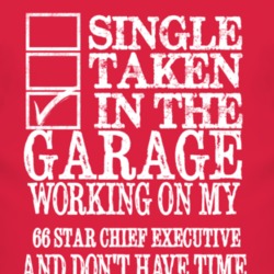 Single Taken In The Garage With 1966 Pontiac Star Chief Executive T Sh