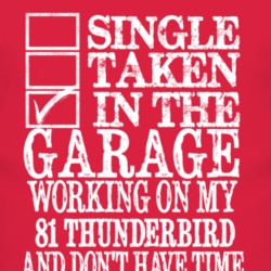 Single Taken In The Garage With 1981 Thunderbird T Shirt