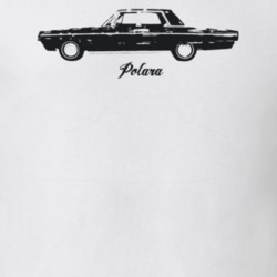 1966 Polara Side View With Model Light Color T Shirt