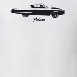 1967 Polara Side View With Model Light Color T Shirt