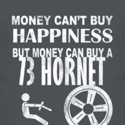 Money Cant Buy Happiness 1973 AMC HORNET Dark Distressed T Shirt