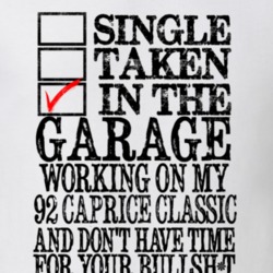 Single Taken In the Garage Working on 1992 Caprice Classic Funny Light