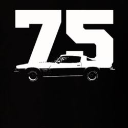 1975 Camaro Side View With Year Black T Shirt