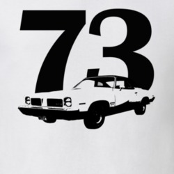 1973 Gto Three Quarter View With Year White T Shirt