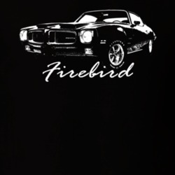 1971 Firebird Three Quarter Side View With Model Name Black T Shirt