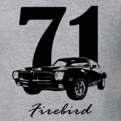 1971 Firebird Three Quarter Side View With Year And Model Name Heather