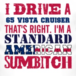 I Drive A 1965 Oldsmobile Vista Cruiser Standard American Sumbitch T S