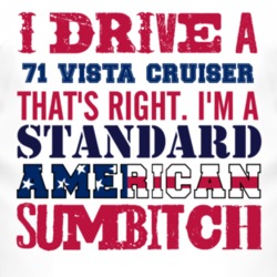 I Drive A 1971 Oldsmobile Vista Cruiser Standard American Sumbitch T S