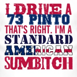 I Drive A 1973 Pinto Standard American Sumbitch T Shirt