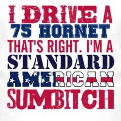 I Drive A 1975 AMC HORNET Standard American Sumbitch T Shirt