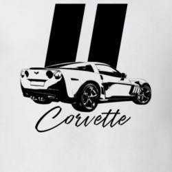 2011 Corvette Rear Angle View With Year And Model Name Light Color T S