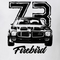 1973 Firebird Grill View With Year And Model Light Color T Shirt